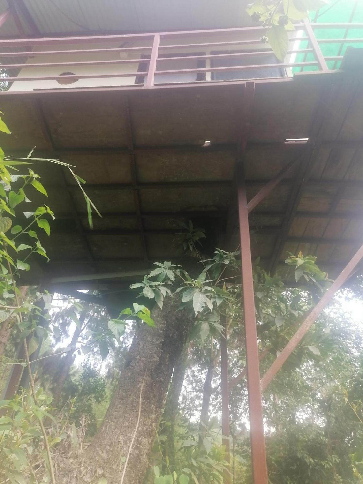 Jungle Crown Organic Homestay Nagarkot Habitación foto