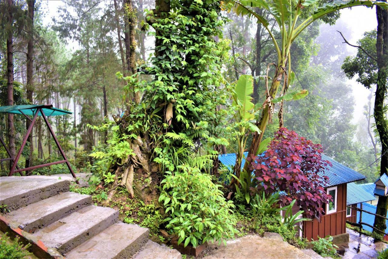 Jungle Crown Organic Homestay Nagarkot Exterior foto
